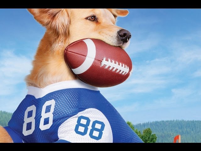 Video Aussprache von Jerry rice in Englisch