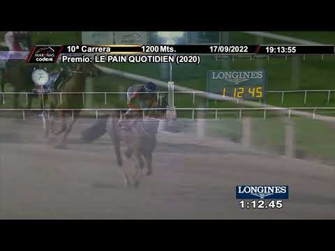 220917 c10 SUGESTIVO LAWYER