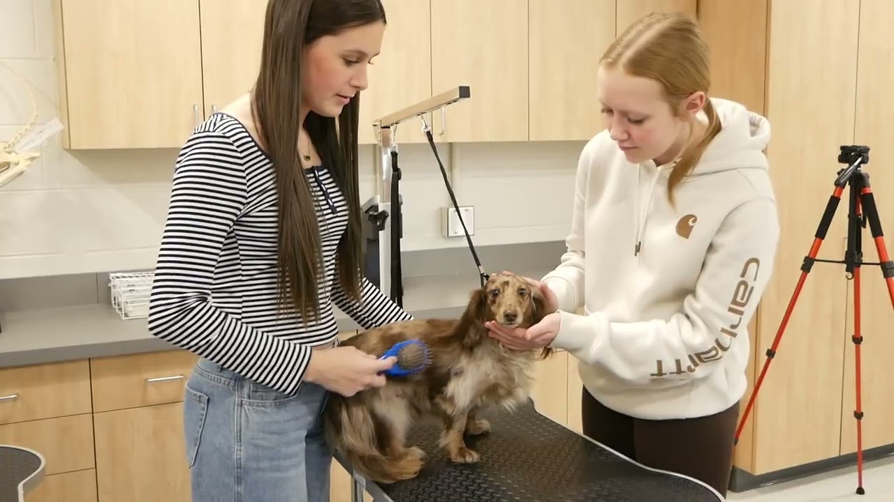 Career and Technical Education Month at RCHS