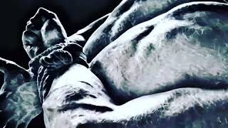 Official Sample Of Controlled