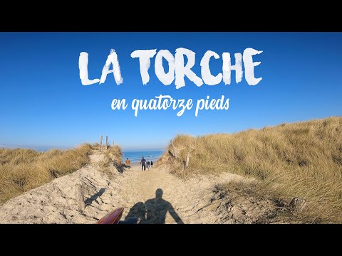 Stand up paddle - La torche en 14' 🤙🏻🏄♂️
