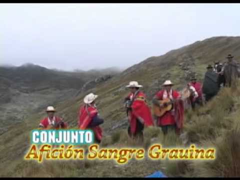 Conjunto Aficion Sangre Grauina Vol.1 - Ganaderia Oyola