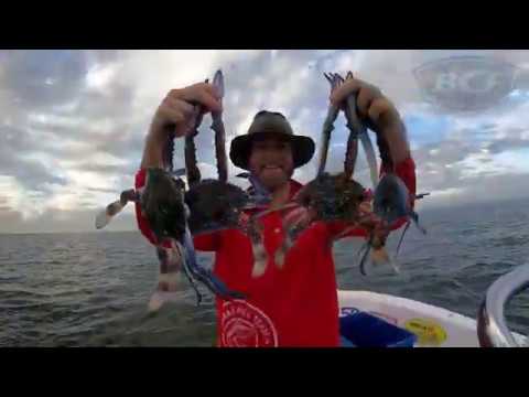 Rogue 4 Entry Heavy Duty Pro Crab Pot - BCF