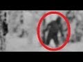 Menk - The Russian Yeti 