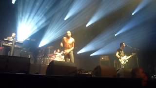 Skip the use - Birds are born to fly