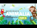 Karakteristik dan Peranan Kelas Homoiotermik: Aves dan Mamalia