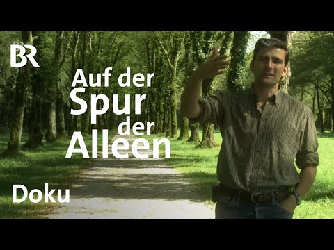 Auf der Spur der Alleen | Bayern erleben | Doku | BR