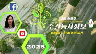 주간농사정보 2 1