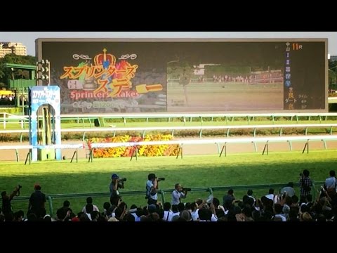 2016.10.02第５０回スプリンターズＳ③ファンファーレ