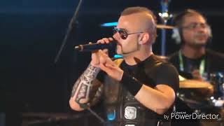Sabaton - white death live in Woodstock