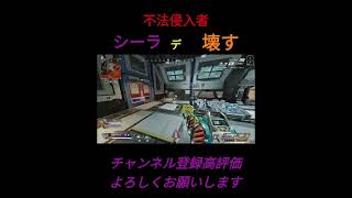 不法侵入者シーラで壊す