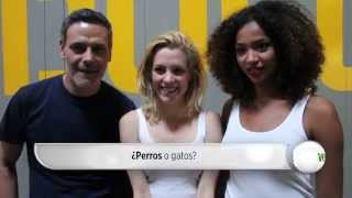 El test de compatibilidad a los protagonistas de 'Vis a Vis' video