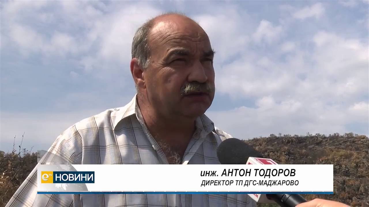 След пожарите гората край Маджарово ще се възстановява поне година