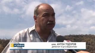 След пожарите гората край Маджарово ще се възстановява поне година