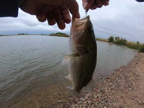 Catching Large Mouth Bass From A Pond in Lamar, Colorado