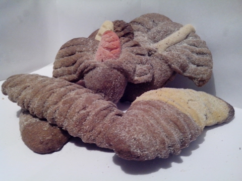 Pan fino o fina II gusanos, elotes, alcatraces