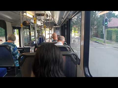 Forest Coach Lines - 5239 - Volvo B7RLE/CC CB60 Evo 2[Terrey Hills](271 - Austlink)