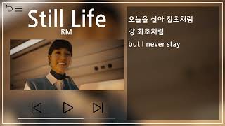 Download lagu RM - Still Life(with Anderson .Paak) 1시간 반복(1h Repeat) [뮤비&가사 / MV&Lyrics] mp3