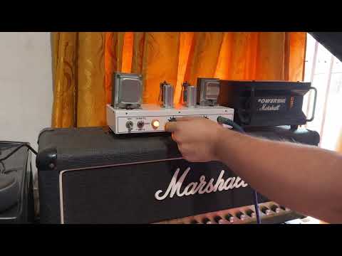 Orange Tiny Terror Test