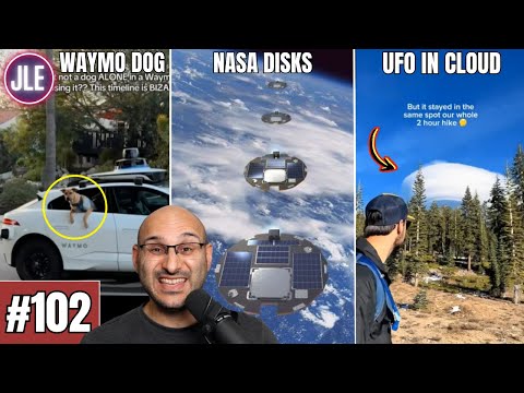 Our Timeline Has Gone Absolutely CRAZY