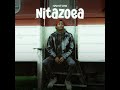 Hanstone - Nitazoea ( Official Audio )