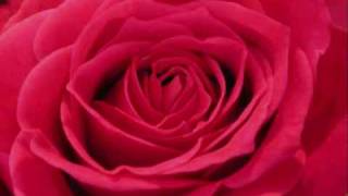 Solveig Henderson - I Lift My Head