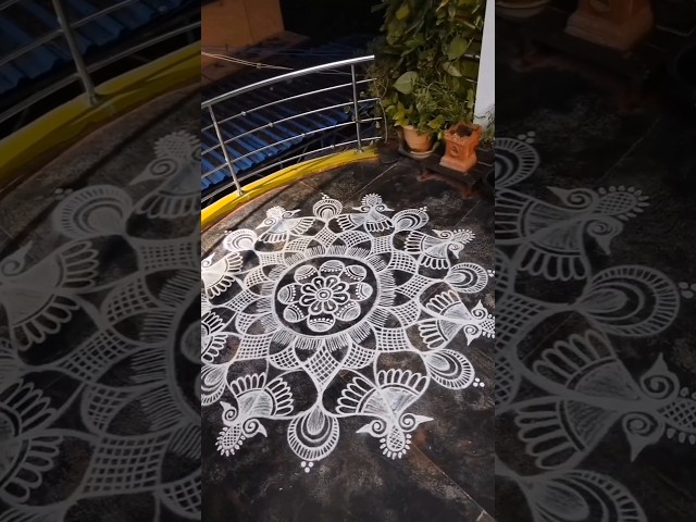 Beautiful wedding rangoli without colors - video 2