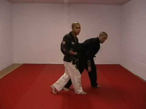 CASA DE KENPO - BROWN BELT - DECEPTIVE PANTHER