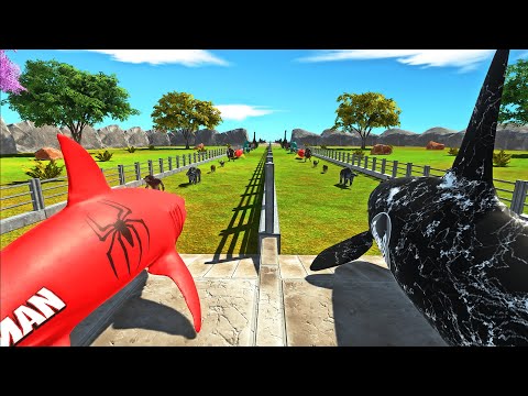 SPIDERMAN SHARK vs VENOM ORCA - Who is faster and stronger? - Animal Revolt Battle Simulator ARBS