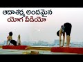 Adah Sharma S Beautiful Yoga Video Adah Sharma Workout Video GS Entertainments