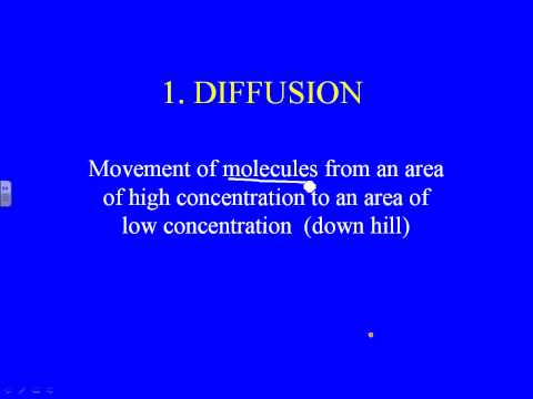 Movement of molecules lecture.wmv
