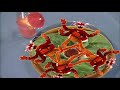 Sesame Street The Count S Vacation With Pepe The King Prawn 60fps