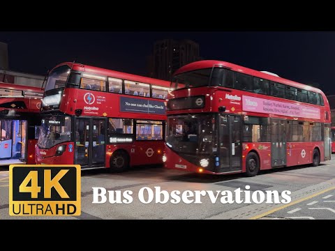 Bus Observations in NW London (October 2025)