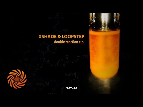 Xshade & Loopstep - Inside the Madness