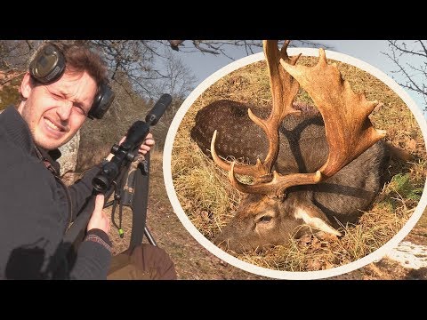 Pierre fäller en fantastisk skovel - Jakt är jakt smyger efter dovhjort i Östergötland