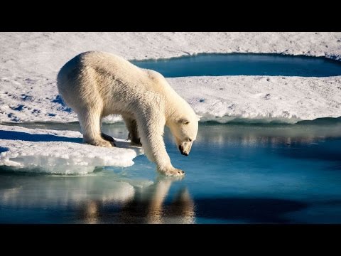 Click to Watch the Study: Natural factors ignored in climate models video