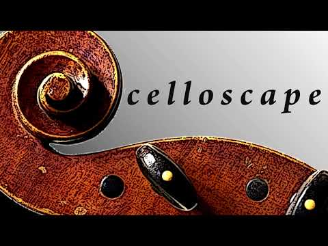Dotzauer - 113 etudes for cello N. 36 Aurelio Bertucci
