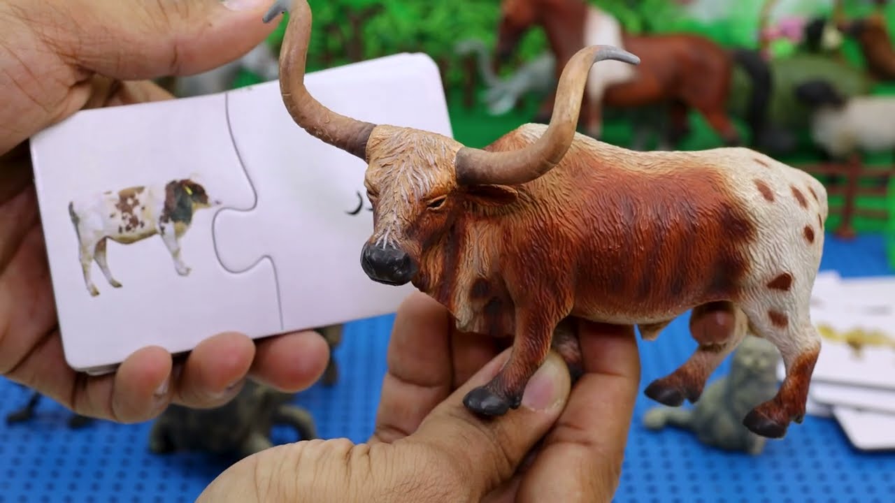 تجربه لعبه مجسمات الحيوانات وبازل حيوانات !!