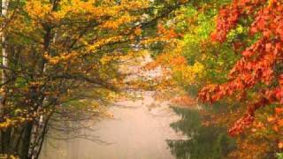 Boral Kibil - Road to go(Original Mix)