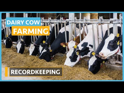 Dairy Cow Farming Lesson 1 Introduction to Dairy Farming Course