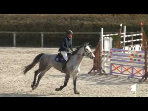 ♥ Queen de la Cour- jumping horse  by Athlet Z