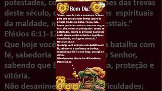 Bom Dia Revestido da Armadura de Deus #bomdia #lindamensagem #mensagem #deustemumapalavrapravoce