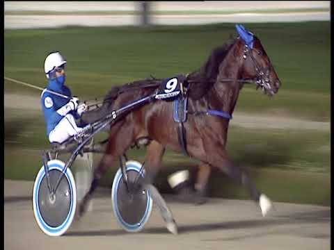 Trotto 23/11/2018 - 6ª corsa