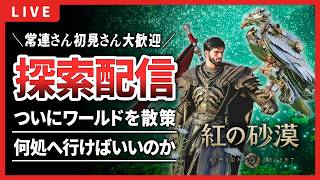 【紅の砂漠】ついに本格的なオープンワールドを探索！【Crimson Desert】