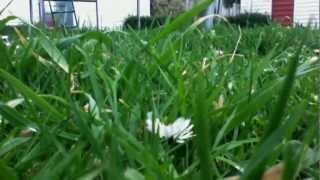 Keep your eyes shut - Original Song