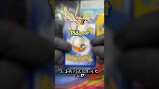 PROJECT POKÉDEX 📖    Completing the Pokédex one card at a time…   From common to rare.✨