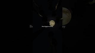 Left outside alone - Anastacia| Aesthetic | #lyrics #aestheic #musiclyrics #anastacia #shorts