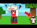 I Used TINY CHEATS In Minecraft Hide And Seek