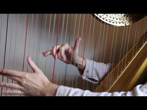 Slow Motion Monday ep. 17 - LH muffling in Rota's "Sarabanda"