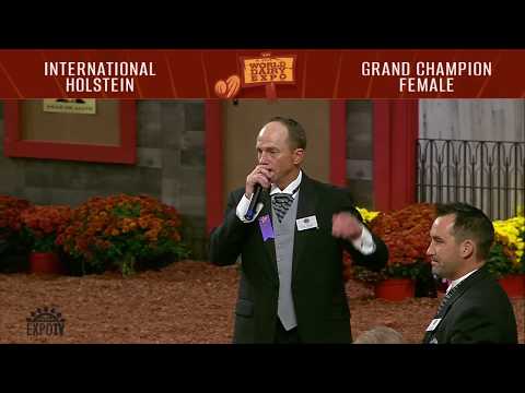 768 Holstein Grand Champion